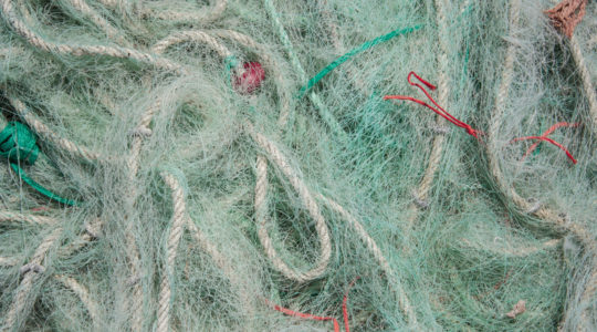 Regime Jurídico da Pesca Comercial Regime Jurídico da Pesca Comercial
